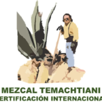 certificacion mezcal temachtiani